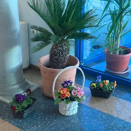 комплекс комитите