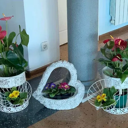 комплекс комитите Хотел 3*