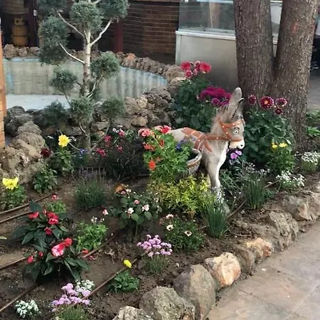 комплекс комитите 3* Чучулигово