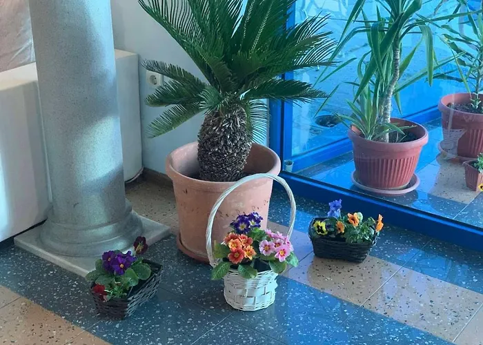 комплекс комитите