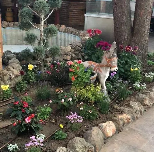 комплекс комитите 3* Чучулигово